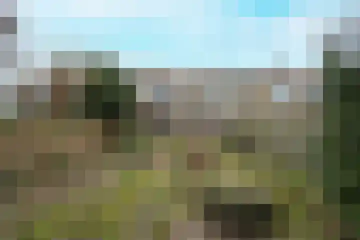 Lijzijde 120 Dronten thumbnail 33