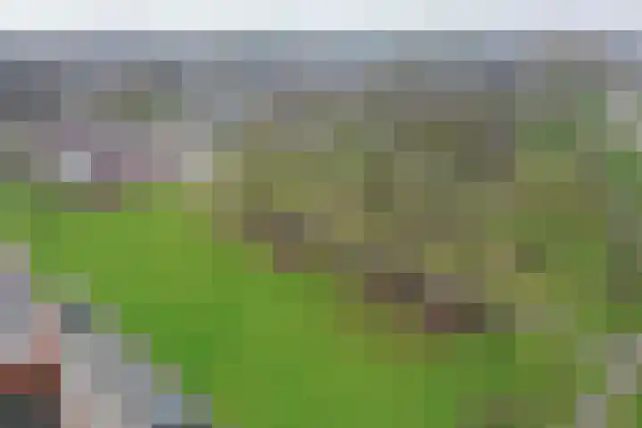 Lijzijde 120 Dronten thumbnail 37