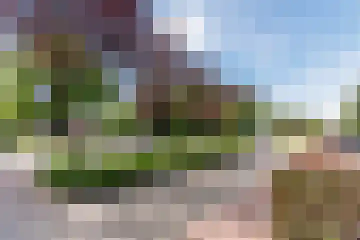 Lijzijde 42 Dronten thumbnail 11
