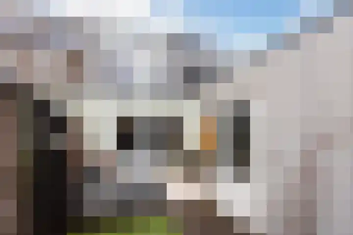 Lijzijde 42 Dronten thumbnail 17