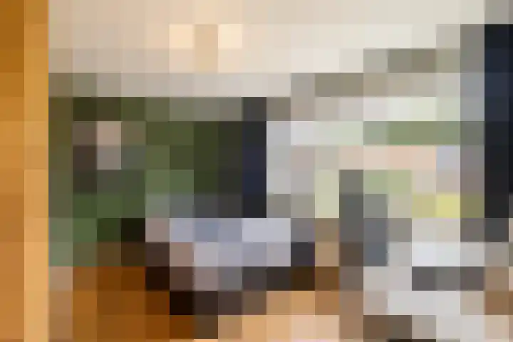 Lijzijde 42 Dronten thumbnail 18