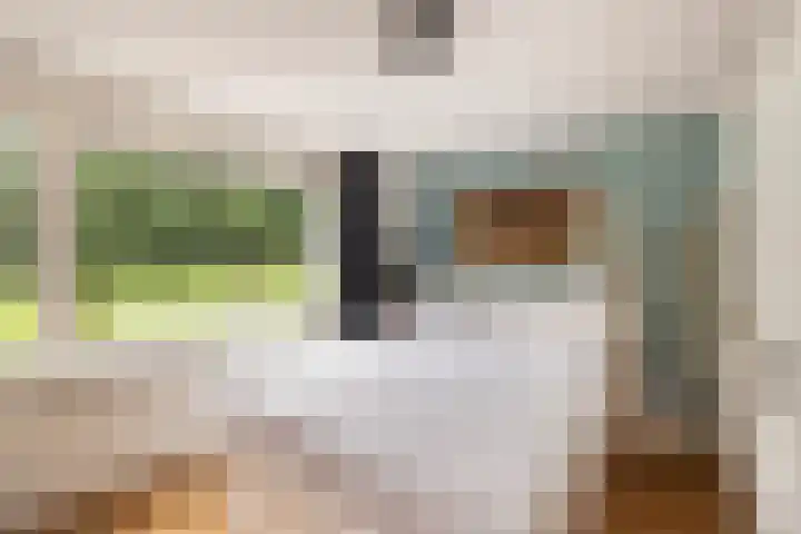 Lijzijde 42 Dronten thumbnail 19