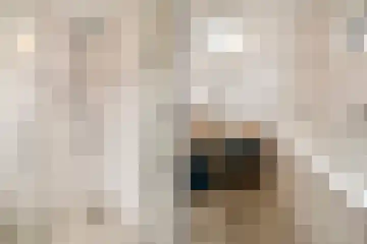 Lijzijde 42 Dronten thumbnail 23