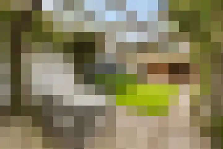 Lijzijde 42 Dronten thumbnail 27