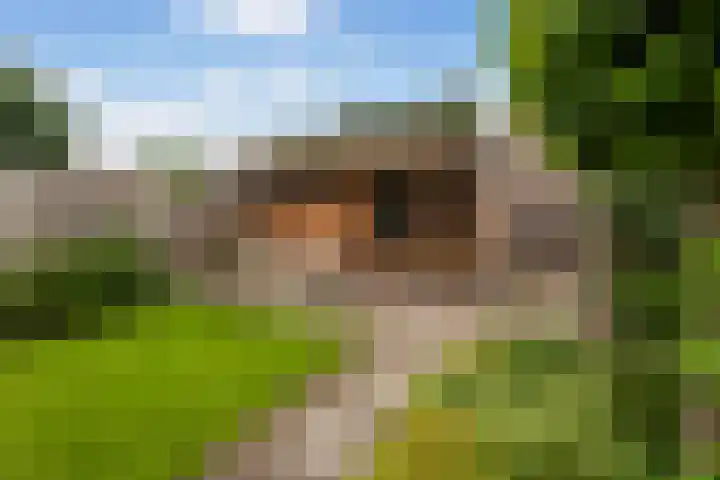 Lijzijde 42 Dronten thumbnail 29