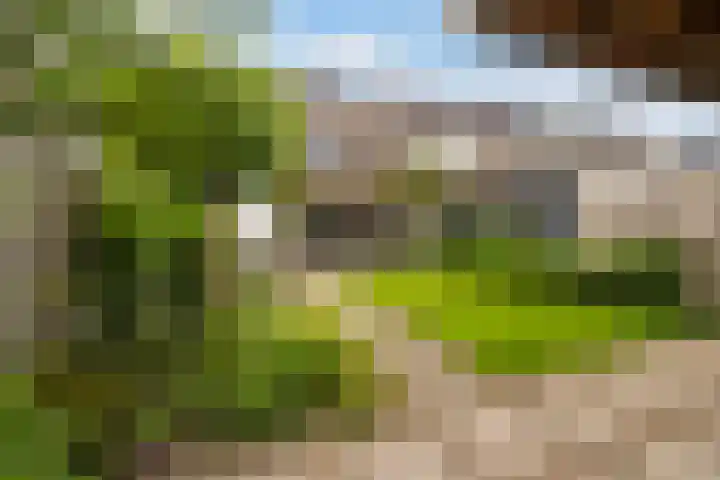 Lijzijde 42 Dronten thumbnail 30