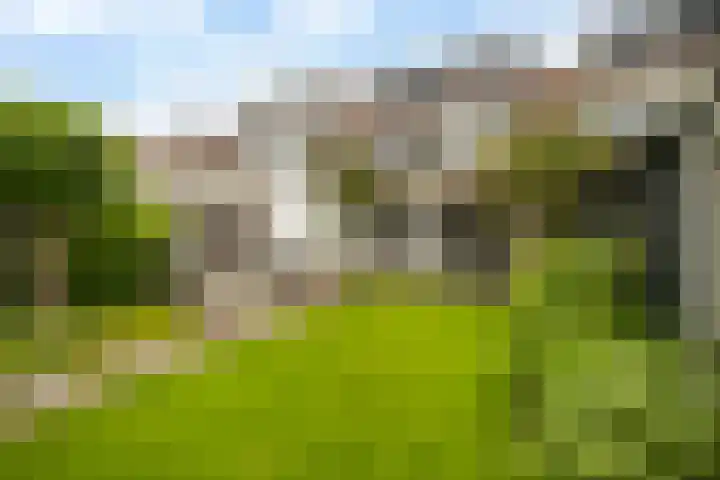 Lijzijde 42 Dronten thumbnail 31