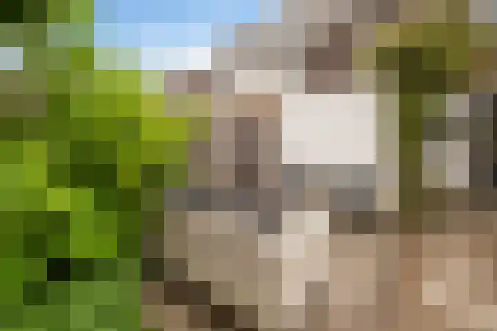 Lijzijde 42 Dronten thumbnail 32