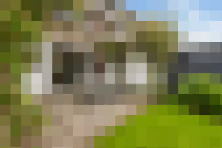 Lijzijde 42 Dronten thumbnail 33