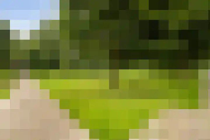 Lijzijde 42 Dronten thumbnail 34