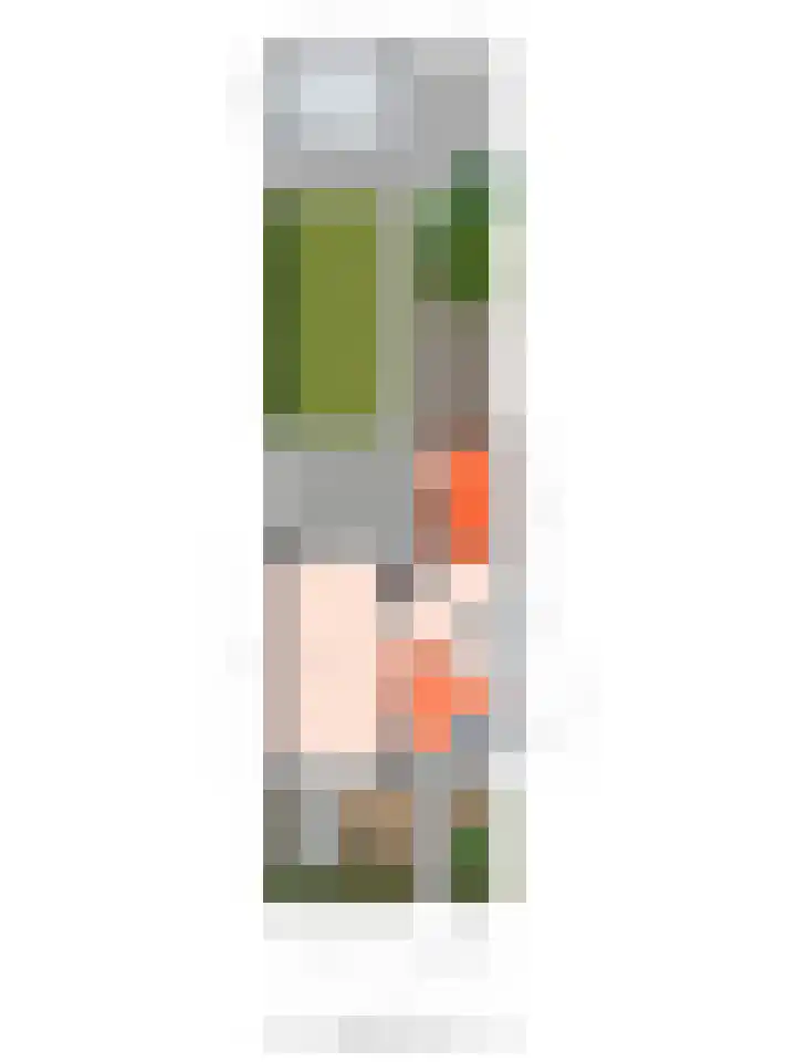 Lijzijde 42 Dronten thumbnail 36