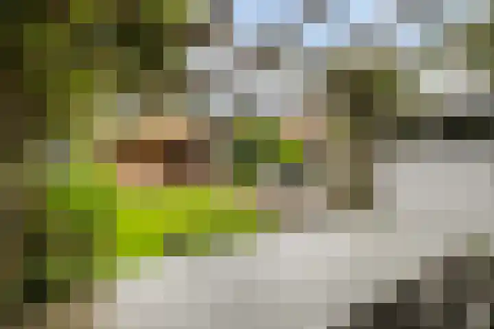 Lijzijde 42 Dronten thumbnail 5