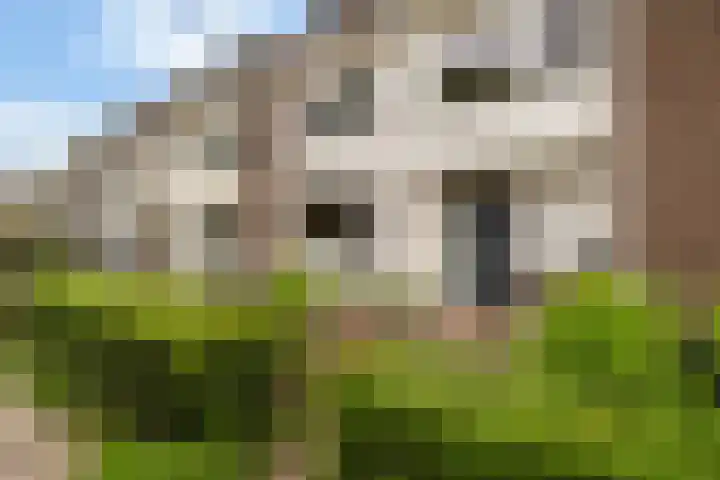 Lijzijde 42 Dronten thumbnail 7