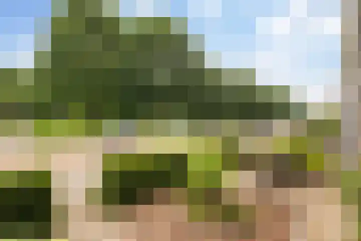 Lijzijde 42 Dronten thumbnail 8