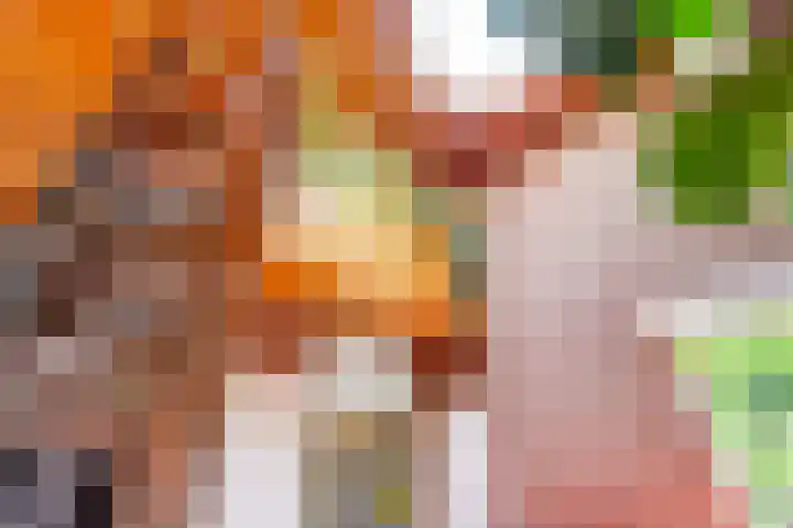 Lijzijde 79 Amsterdam thumbnail 11