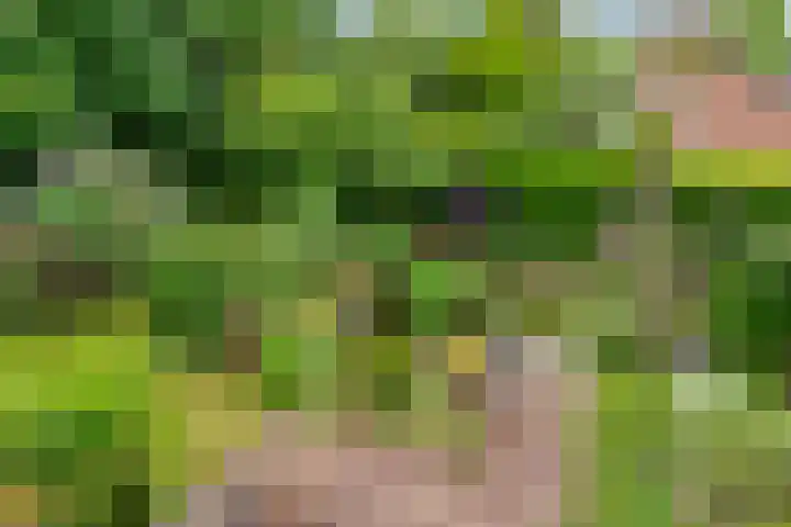 Lijzijde 79 Amsterdam thumbnail 37