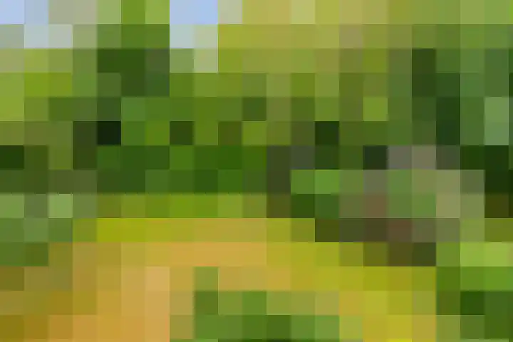 Lijzijde 79 Amsterdam thumbnail 38