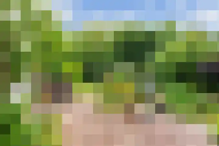 Lijzijde 79 Amsterdam thumbnail 39
