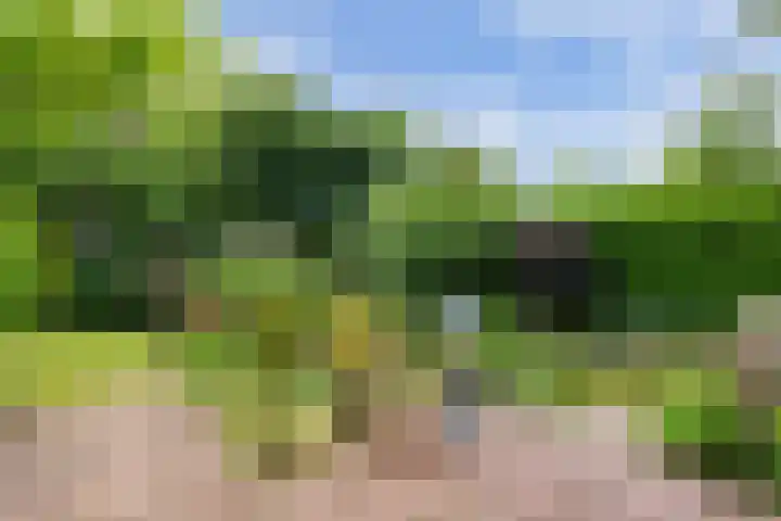 Lijzijde 79 Amsterdam thumbnail 40