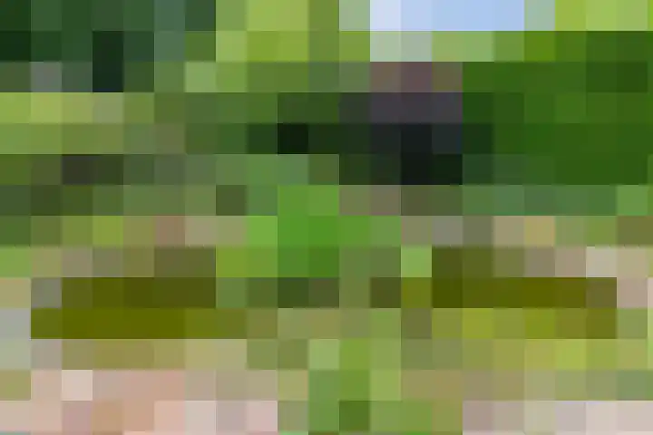 Lijzijde 79 Amsterdam thumbnail 41