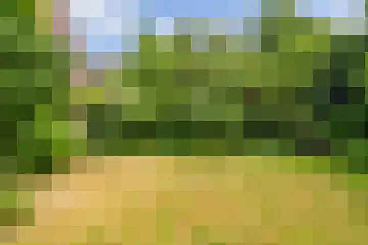 Lijzijde 79 Amsterdam thumbnail 45