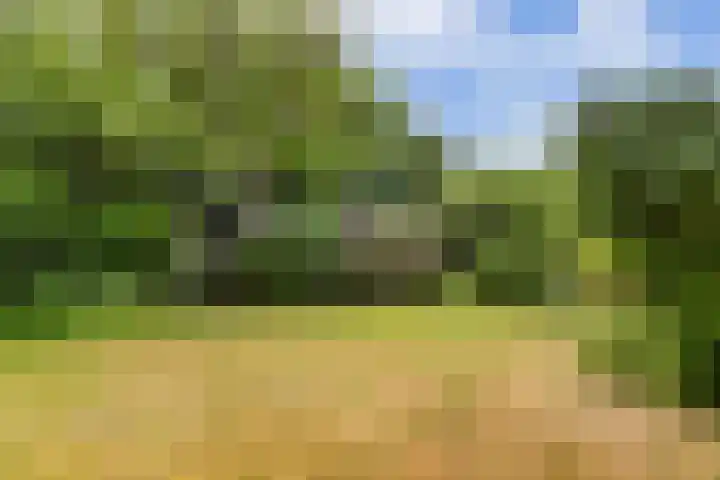 Lijzijde 79 Amsterdam thumbnail 46