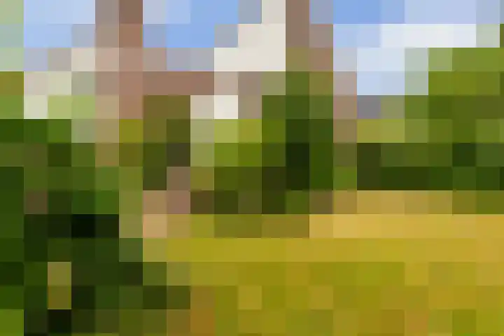 Lijzijde 79 Amsterdam thumbnail 48