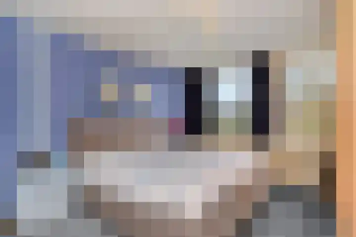 Limborghstraat 10 Limbricht thumbnail 31
