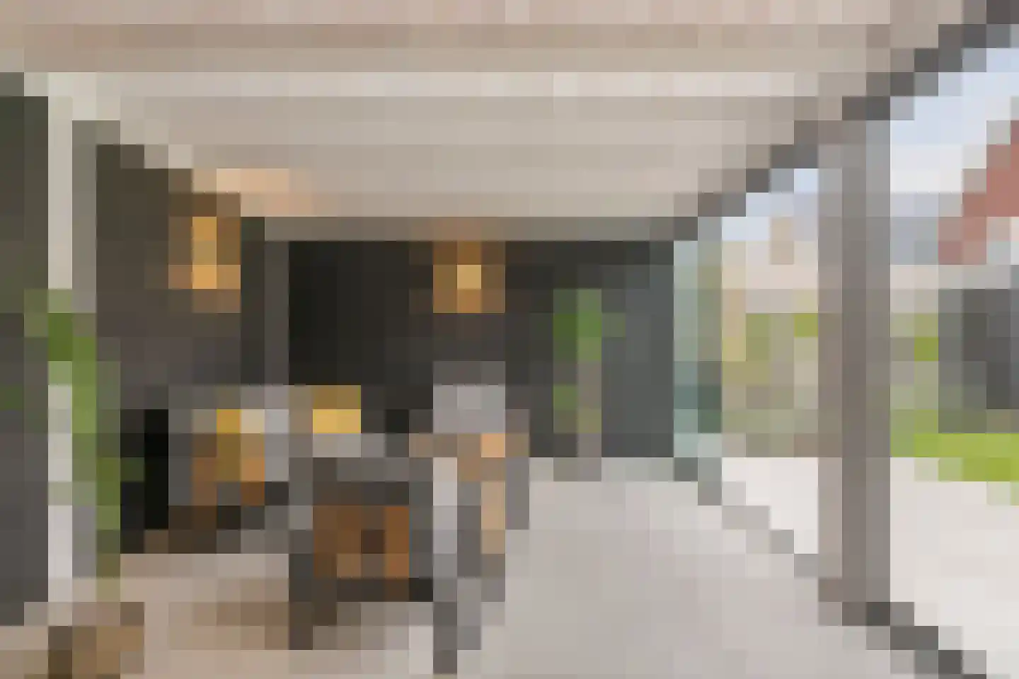 Limes 18 Huissen thumbnail 18