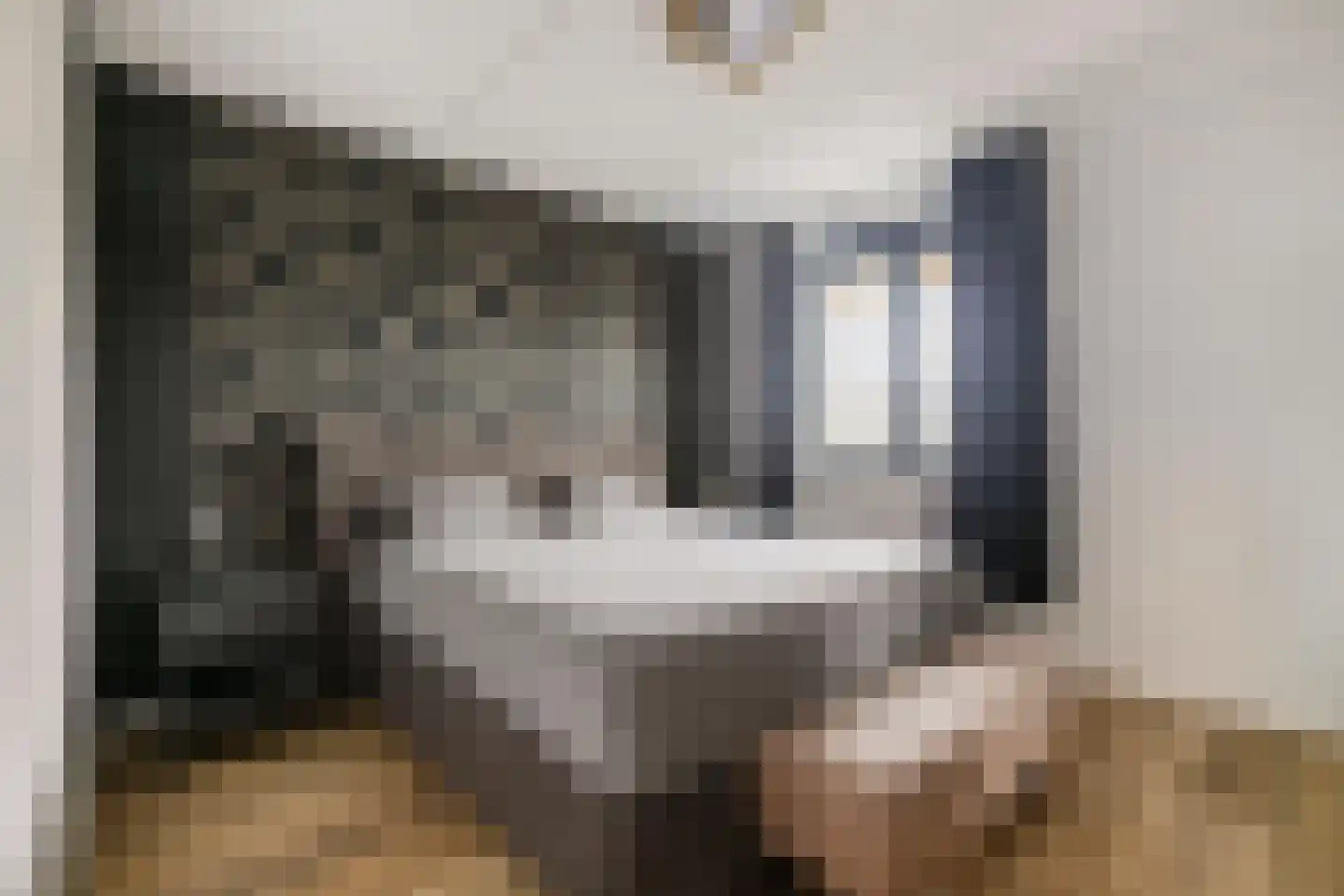 Limes 18 Huissen thumbnail 26