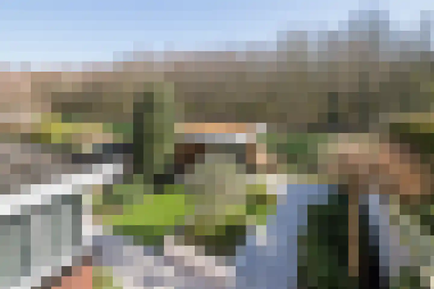 Limes 70 Poortugaal thumbnail 35