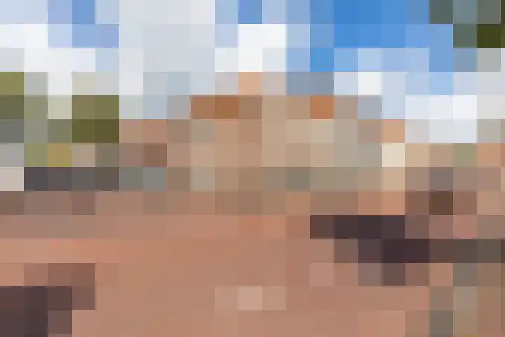 Limmerhoek 5 Alkmaar thumbnail 5