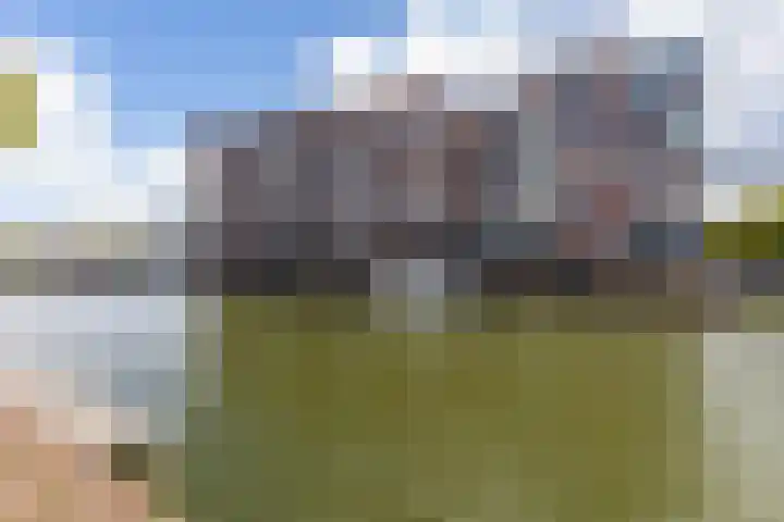 Limmerhoek 5 Alkmaar thumbnail 6