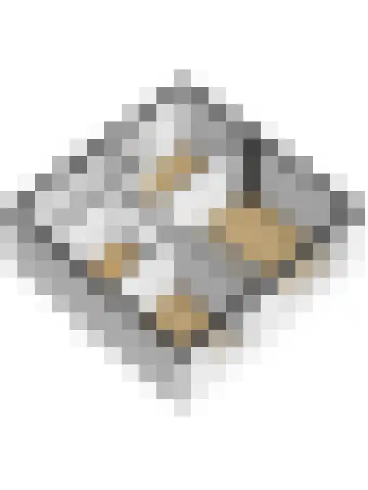 Limmerschouw 26 Winkel thumbnail 31