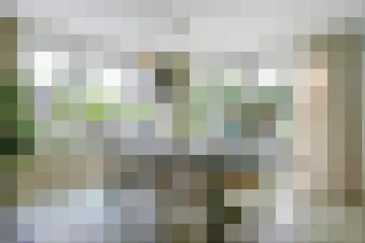 Limmerschouw 26 Winkel thumbnail 8
