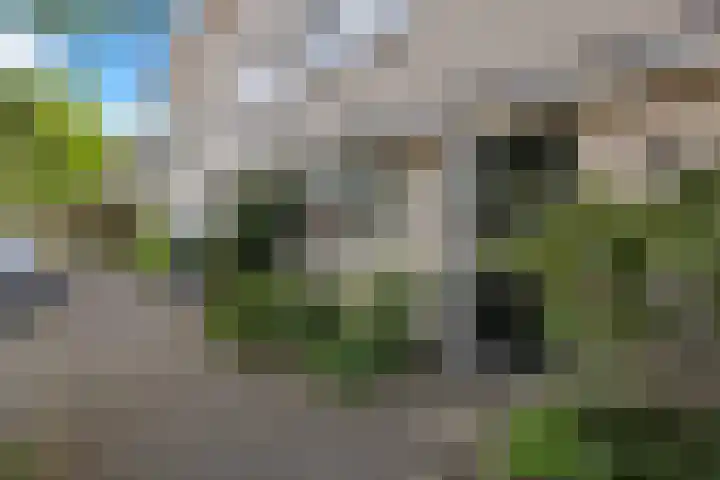 Bürofoto von LiNDA Makelaardij