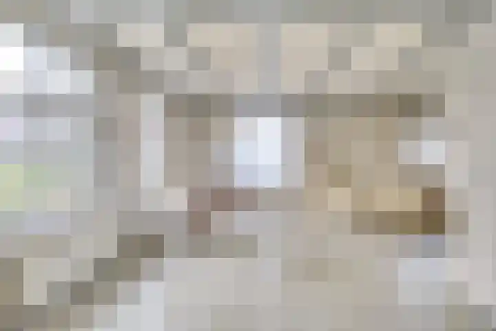 Linde 10 Mierlo thumbnail 12