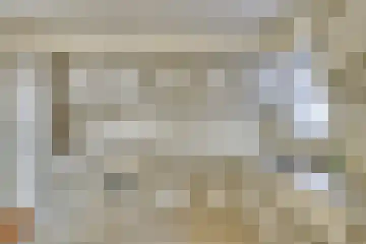 Linde 10 Mierlo thumbnail 21