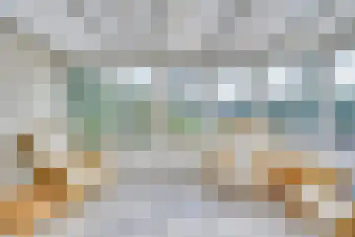 Linde 10 Mierlo thumbnail 25