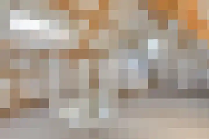 Linde 10 Mierlo thumbnail 26