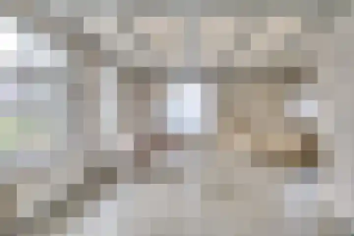 Linde 10 Mierlo thumbnail 4