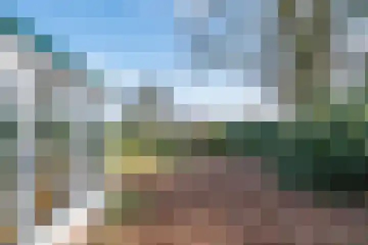 Linde 10 Mierlo thumbnail 42