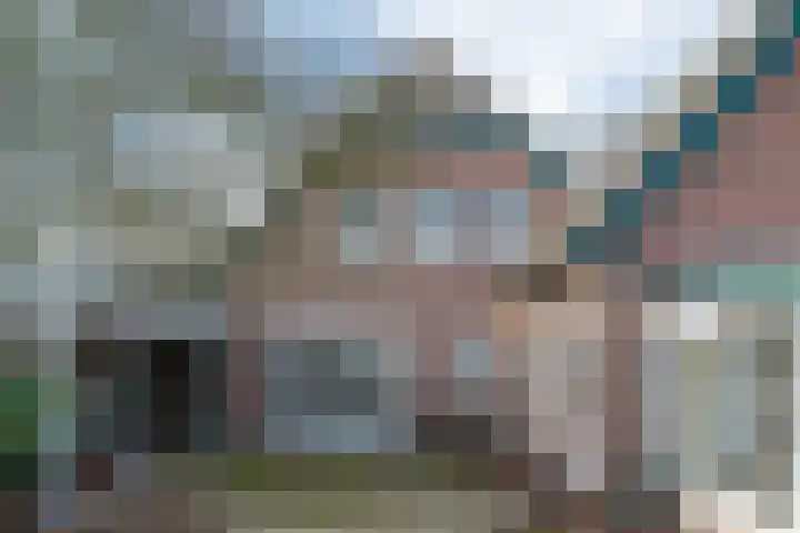 Linde 10 Mierlo thumbnail 43