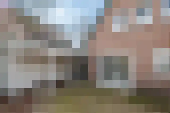 Linde 10 Mierlo thumbnail 44