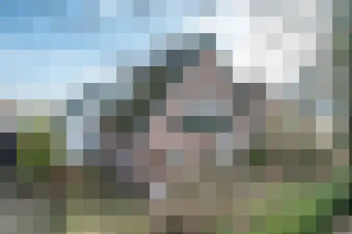 Linde 10 Mierlo thumbnail 48