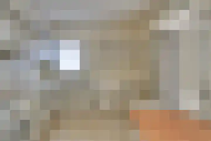 Linde 10 Mierlo thumbnail 6