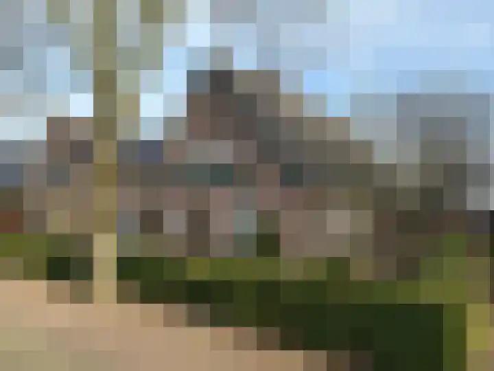 Linde 10 Mierlo thumbnail 7