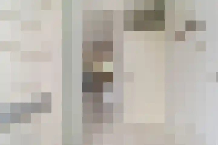 Linde 11 Naaldwijk thumbnail 10