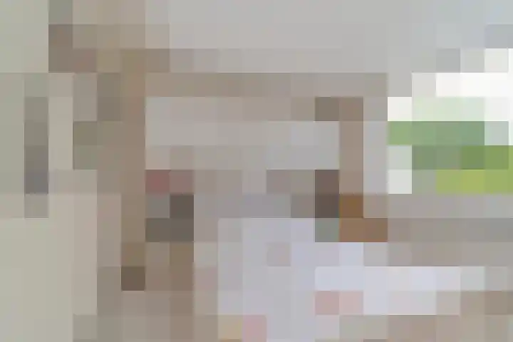 Linde 11 Naaldwijk thumbnail 15