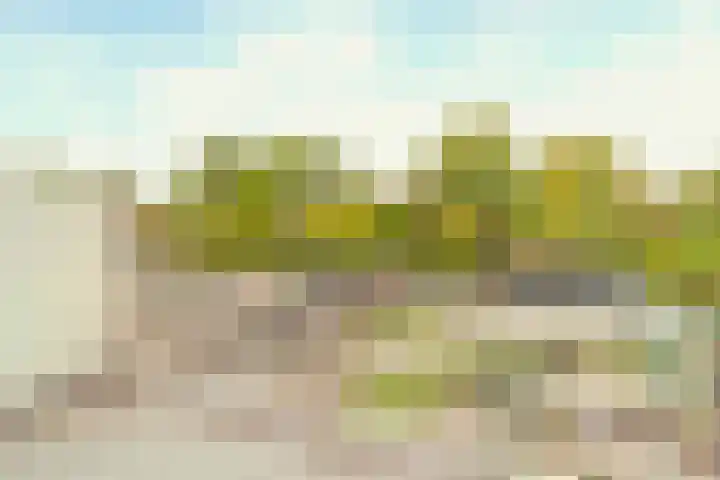 Linde 11 Naaldwijk thumbnail 16